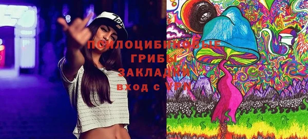 стаф Алексеевка
